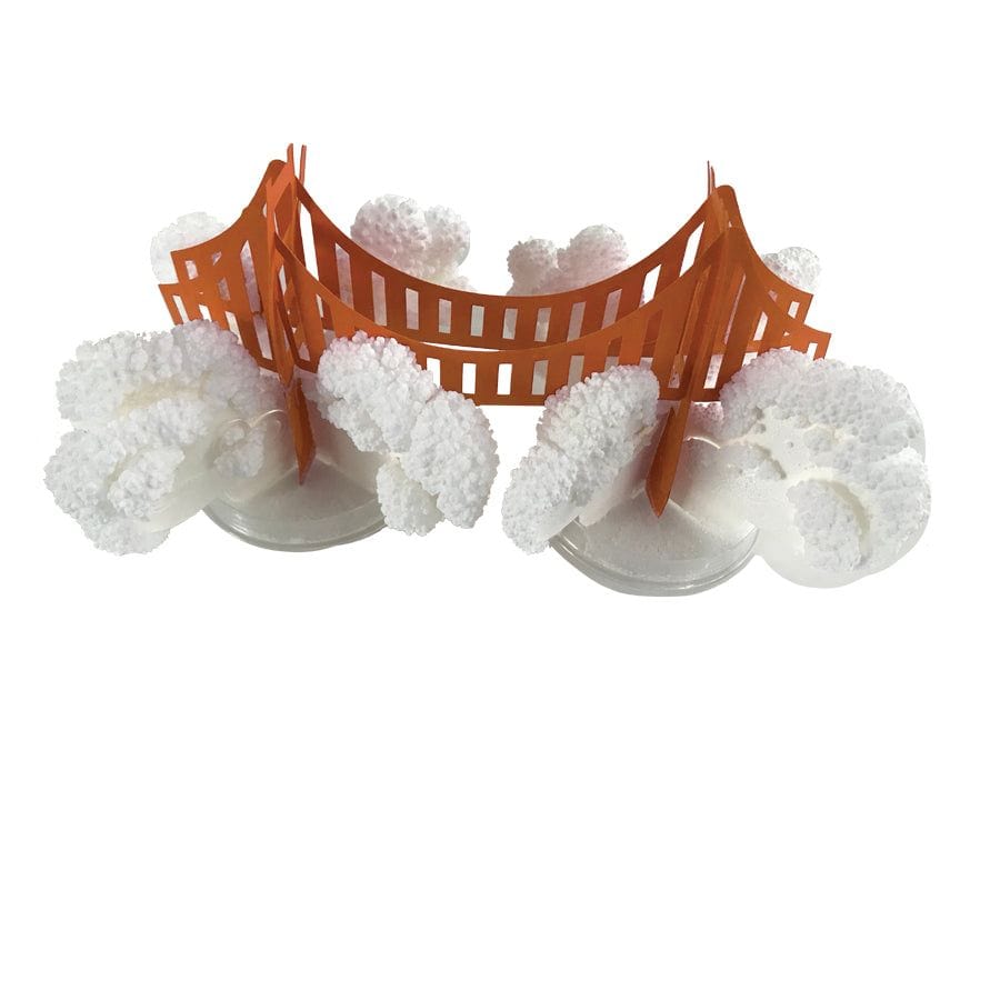 Copernicus Toys BIY Crystal Growing: Golden Gate Bridge