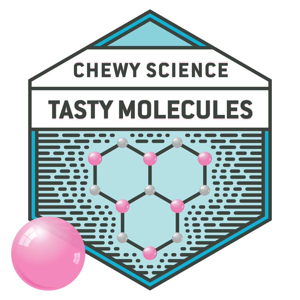 Copernicus Toys kit Bubble Gum Chemistry Kit