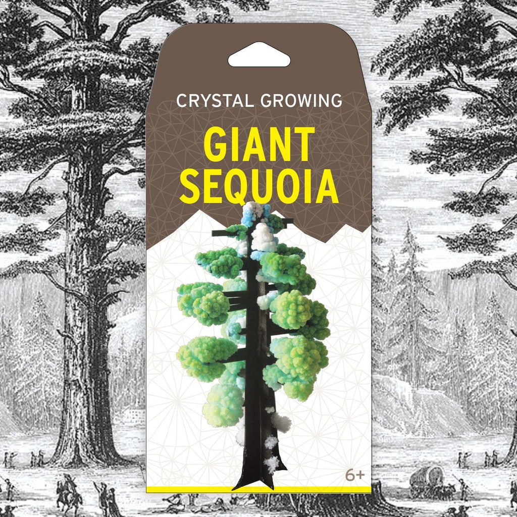 Copernicus Toys Other Crystal Growing: Giant Sequoia