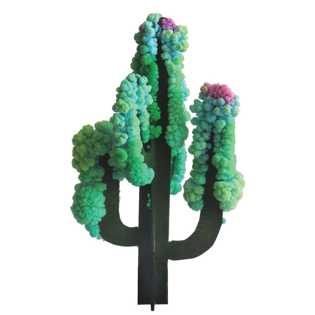 Copernicus Toys Other Crystal Growing: Saguaro Cactus