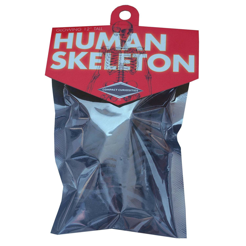 Copernicus Toys Other Glow in the Dark Human Skeleton