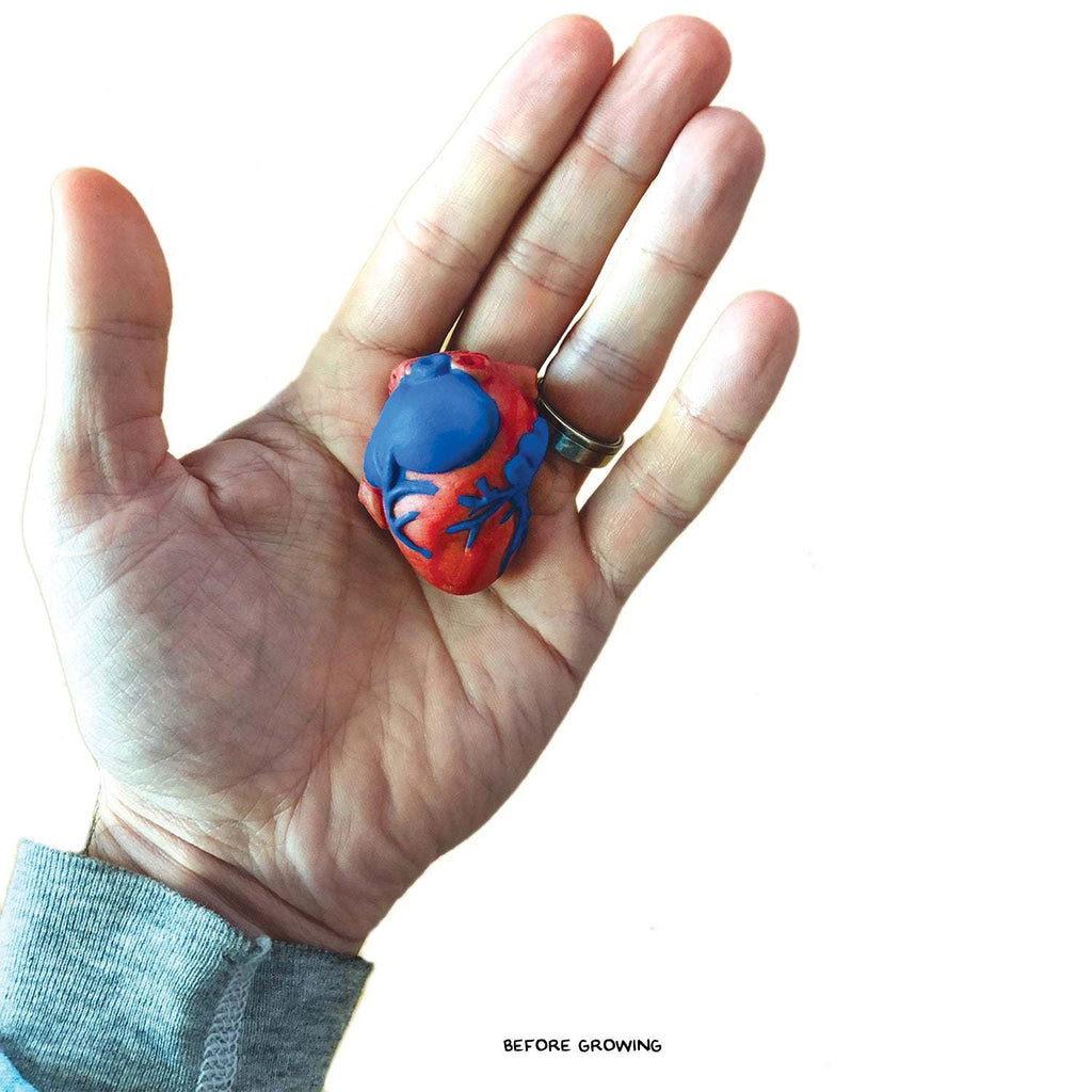 Copernicus Toys Other Growing Super Absorbent Heart | Grow a big heart | Just Add to Water