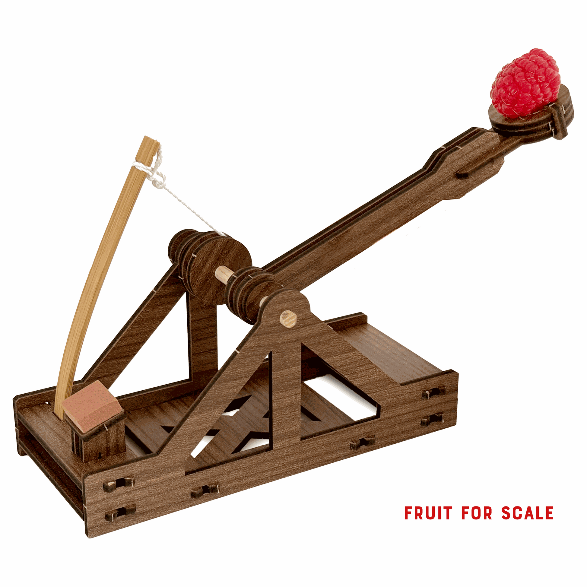 Mini Catapult Kit: DIY Siege Engine Engineering Model – HungryRobot