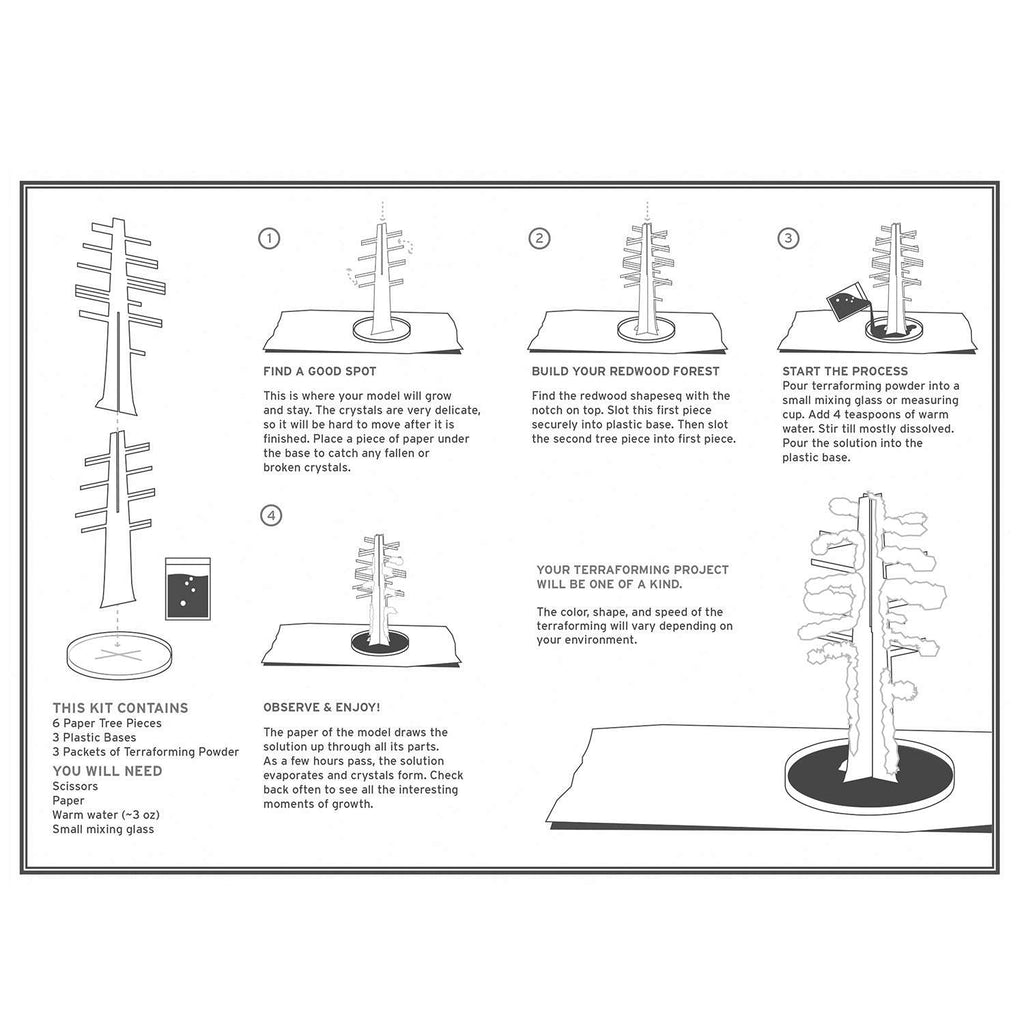 Copernicus Toys BIY Crystal Growing Redwood Forest | Grow a grove of these giants in hours