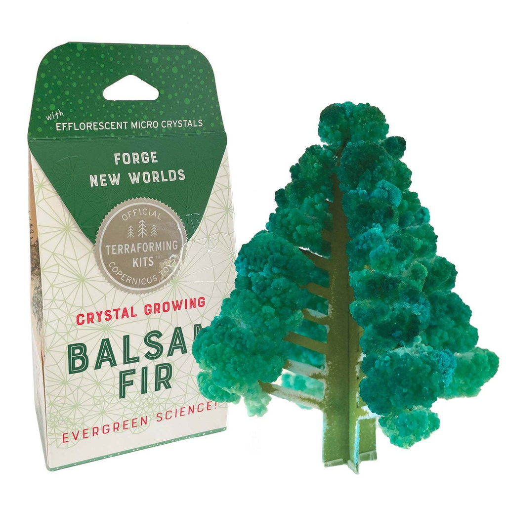 Copernicus Toys kit Crystal Growing Balsam Fir