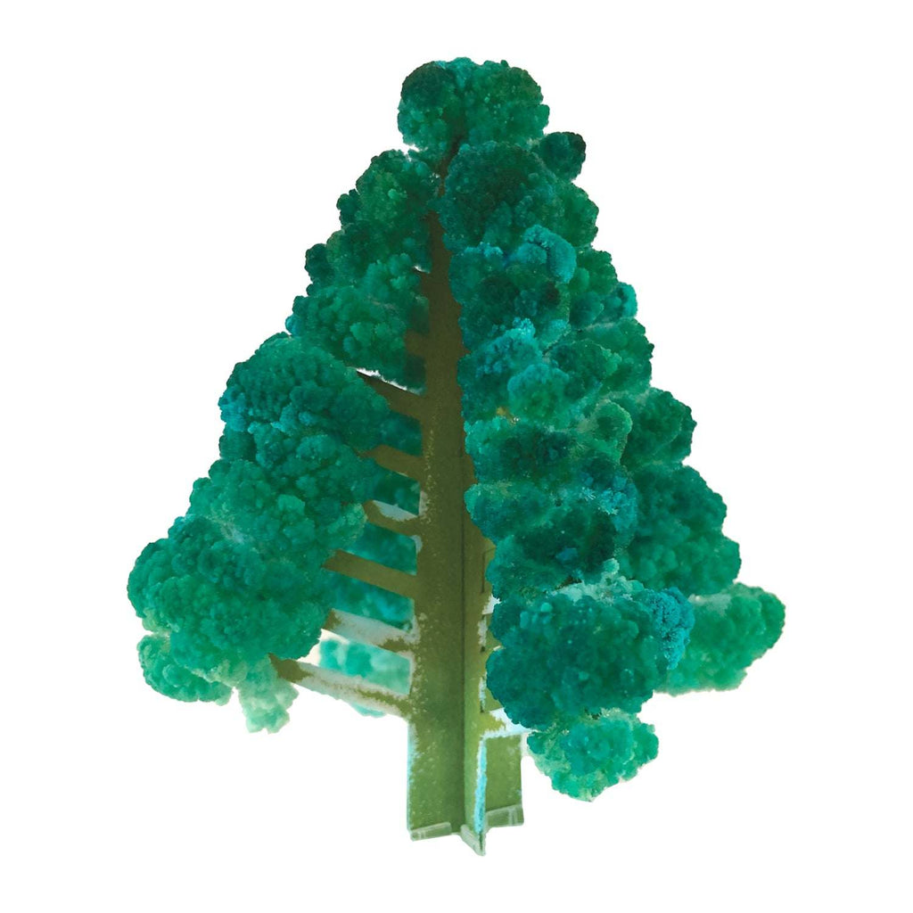 Copernicus Toys kit Crystal Growing Balsam Fir