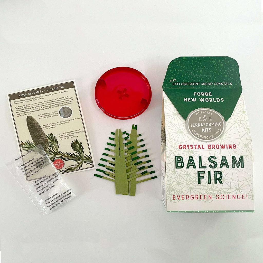 Copernicus Toys kit Crystal Growing Balsam Fir