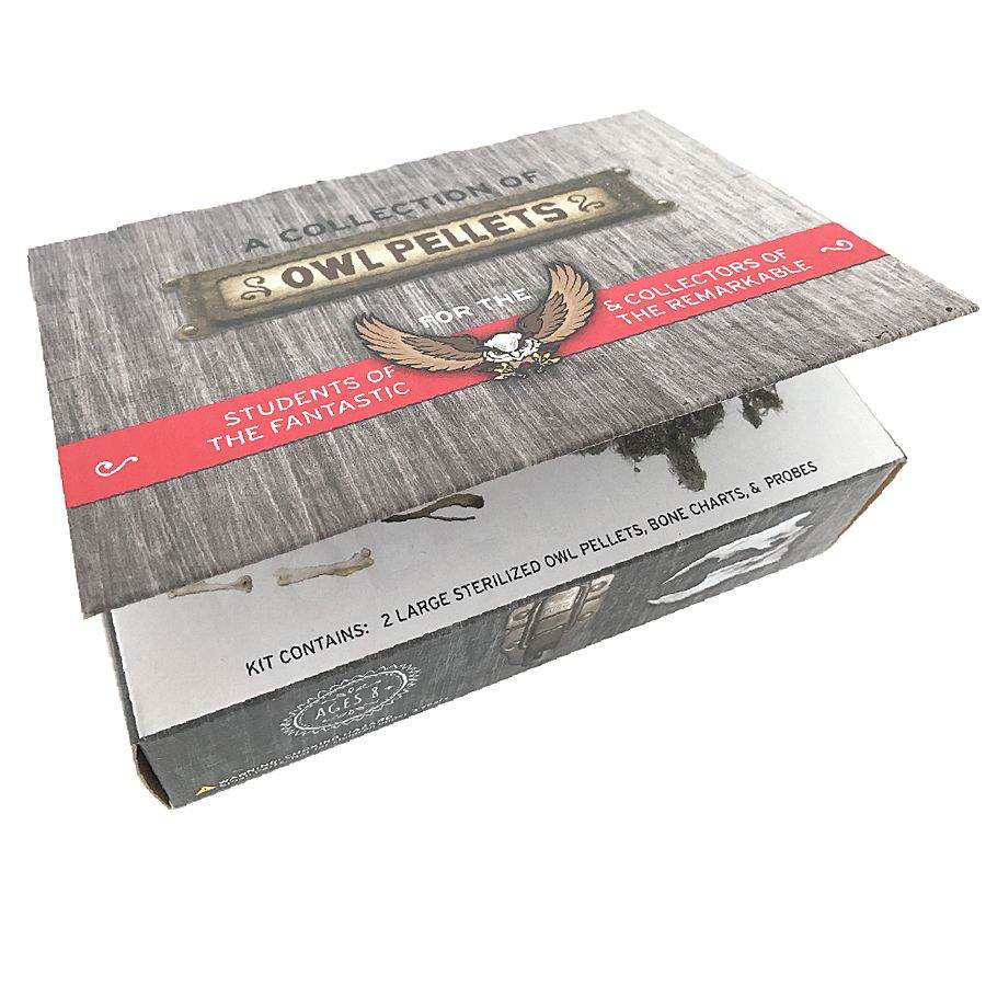 Copernicus Toys Other Cabinet of Owl Pellets | Copernicus Toys | Real owl pellets | Facts and instructions included…