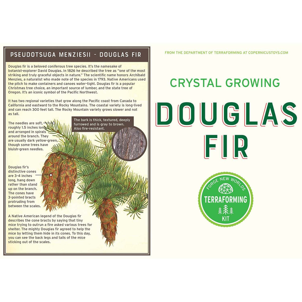 Copernicus Toys Other Crystal Growing Douglas Fir | Fast growing crystal science