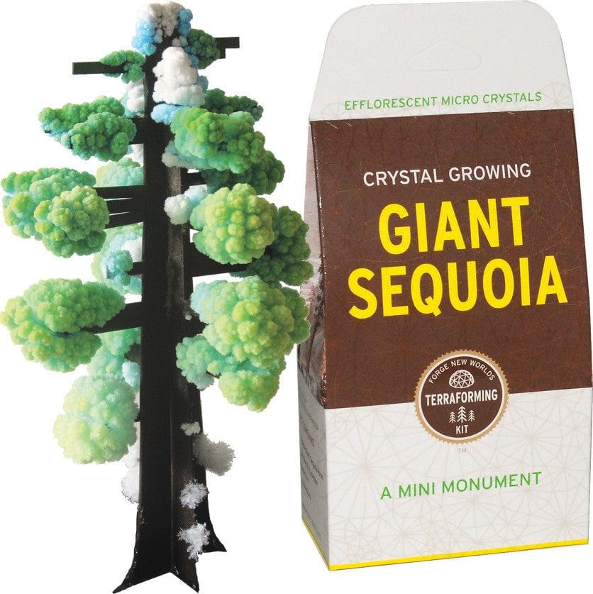 Copernicus Toys Other Crystal Growing: Giant Sequoia