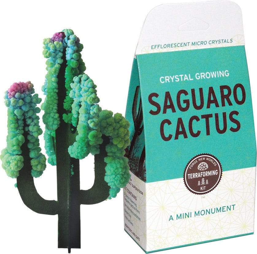 Copernicus Toys Other Crystal Growing: Saguaro Cactus