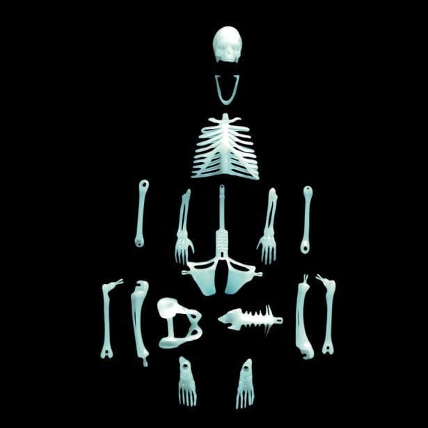 Copernicus Toys Other Glow in the Dark Human Skeleton