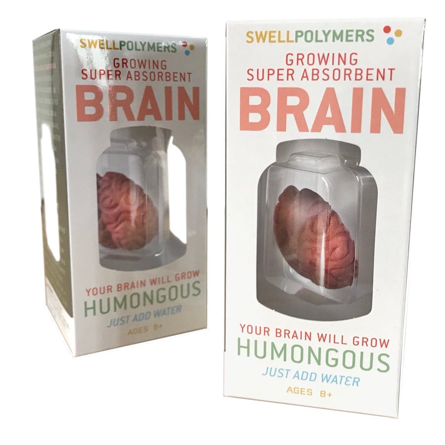 Copernicus Toys Other Growing Super Absorbent Brain | Your Brain will Grow Humongous | Just Add to Water